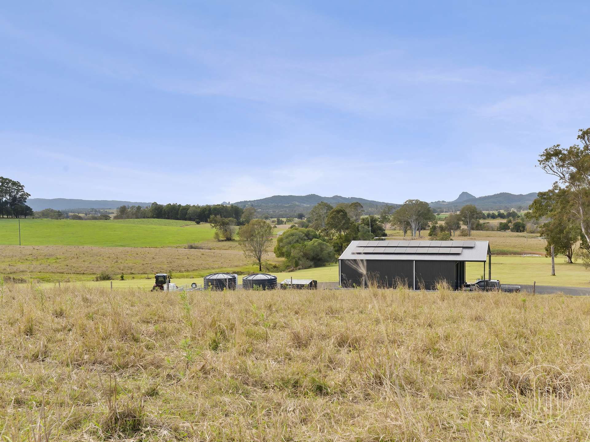 Amamoor For Sale by Farmbuy.com - image 26