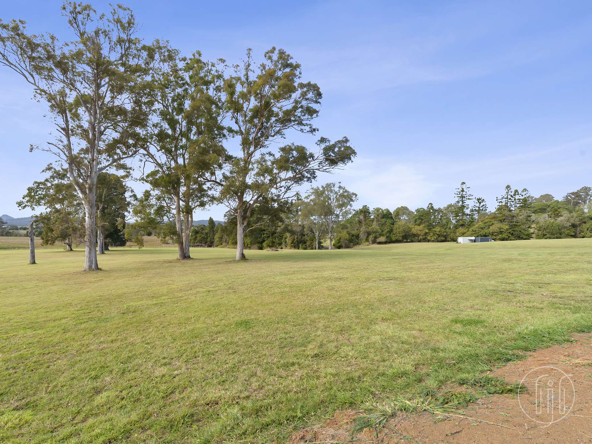 Amamoor For Sale by Farmbuy.com - image 7