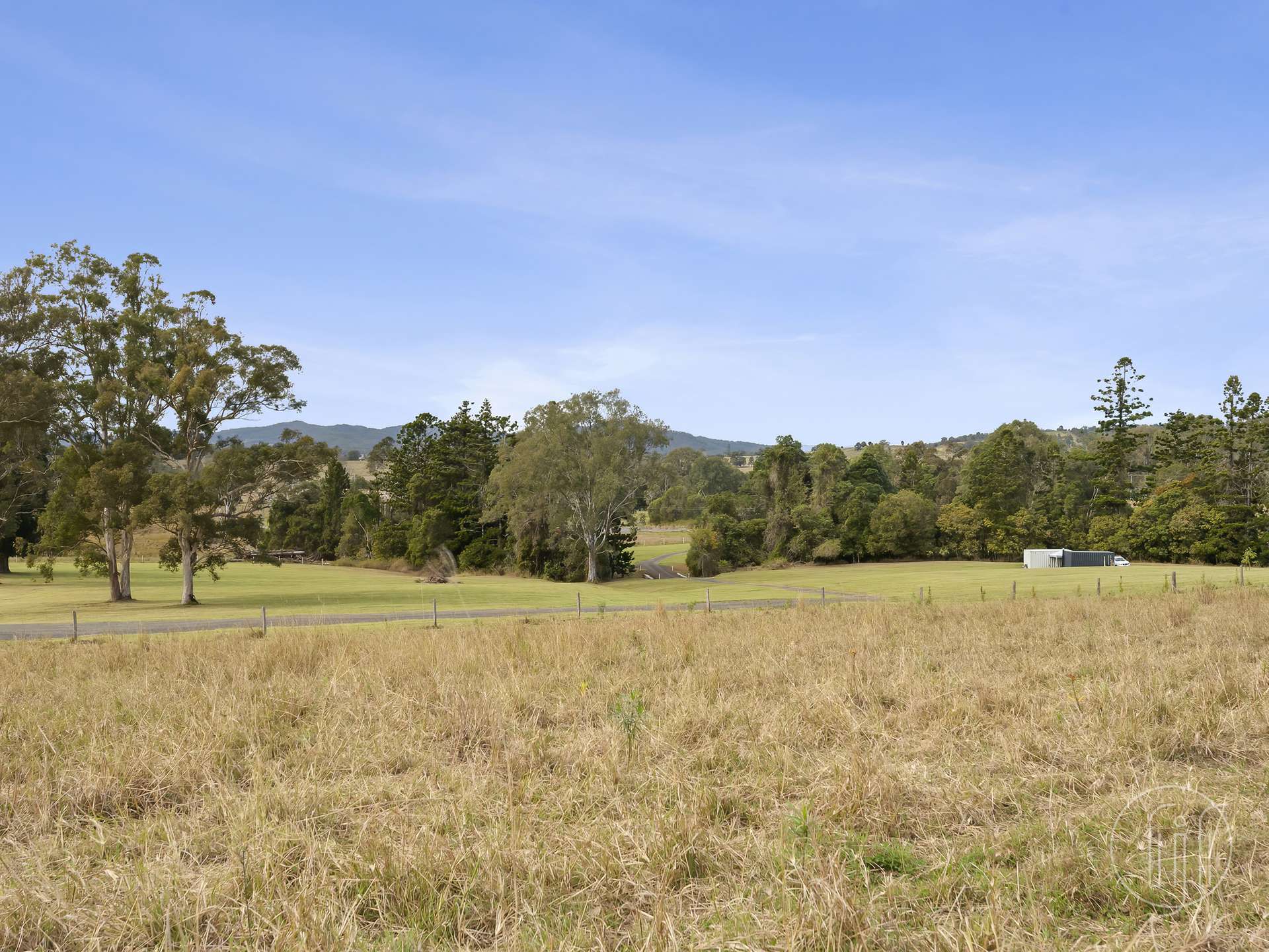 Amamoor For Sale by Farmbuy.com - image 5
