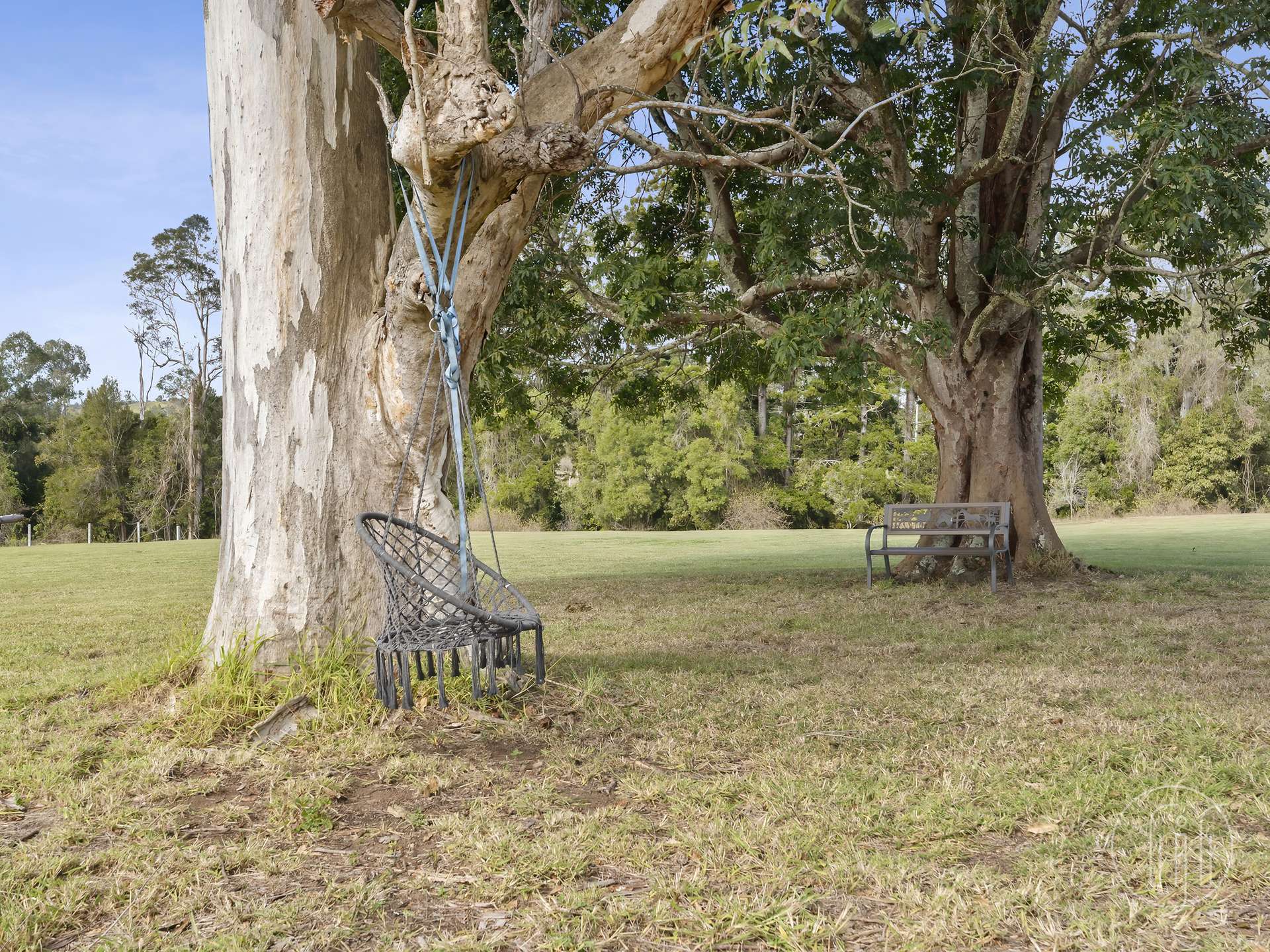 Amamoor For Sale by Farmbuy.com - image 6