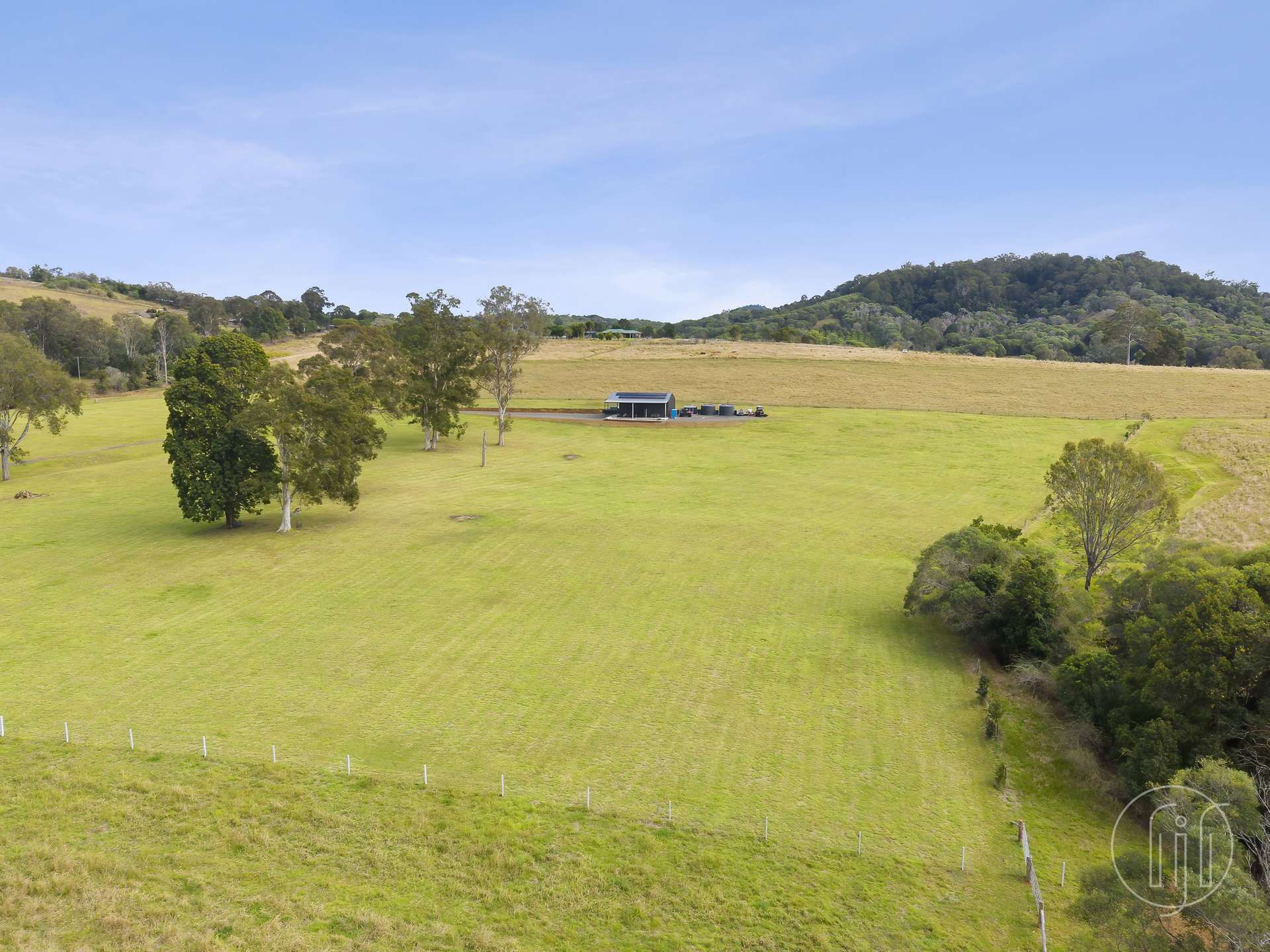 Amamoor For Sale by Farmbuy.com - image 28