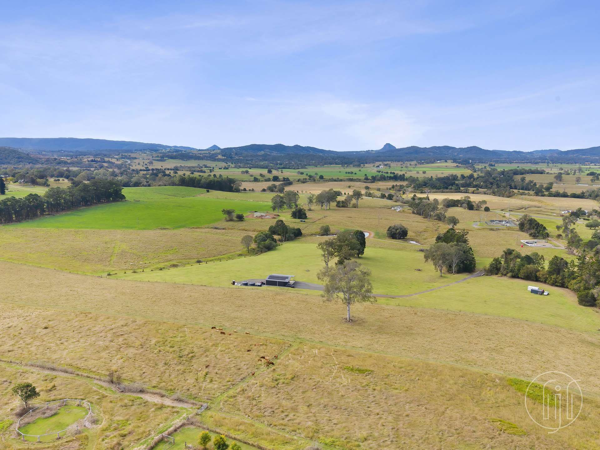 Amamoor For Sale by Farmbuy.com - image 35