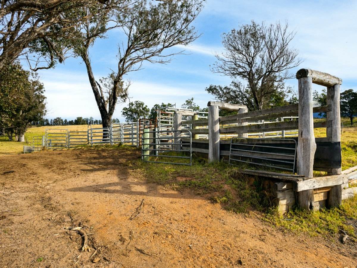Lot 63 Watts Road, Cobargo For Sale by Farmbuy.com - image 13