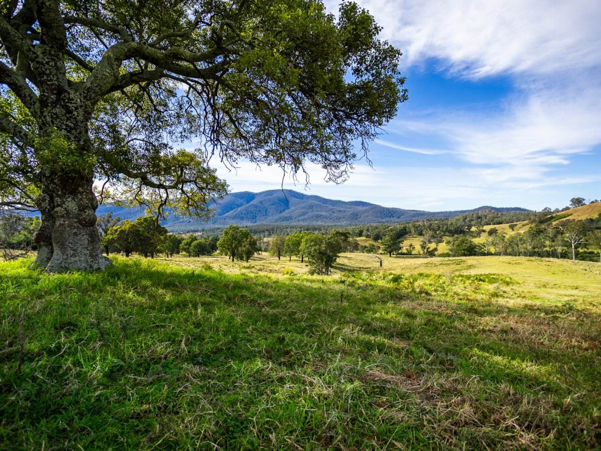 Lot 63 Watts Road, Cobargo For Sale by Farmbuy.com - image 20