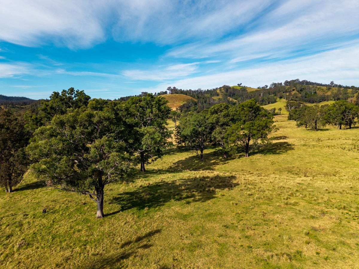Lot 63 Watts Road, Cobargo For Sale by Farmbuy.com - image 1