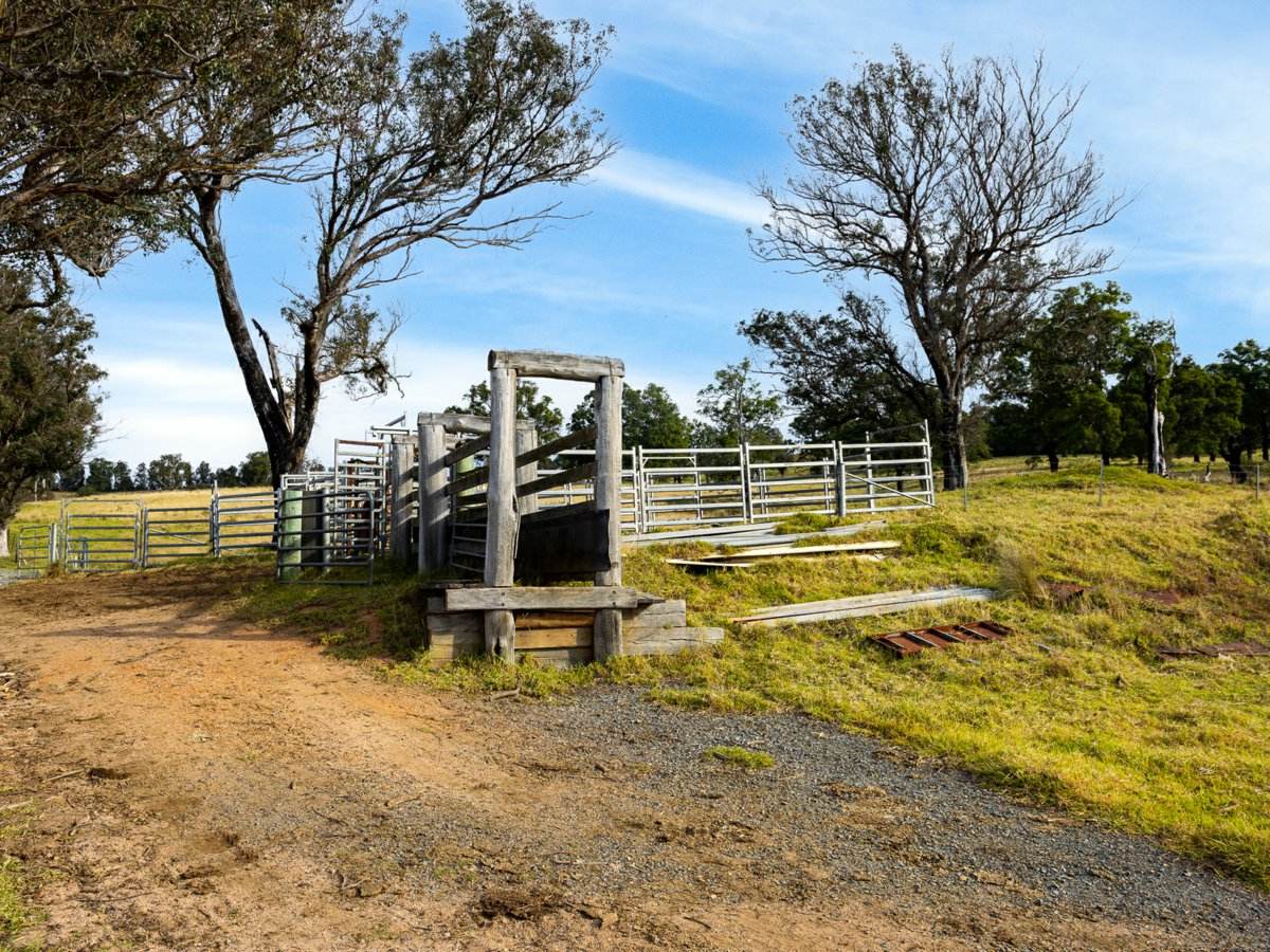 Lot 63 Watts Road, Cobargo For Sale by Farmbuy.com - image 12