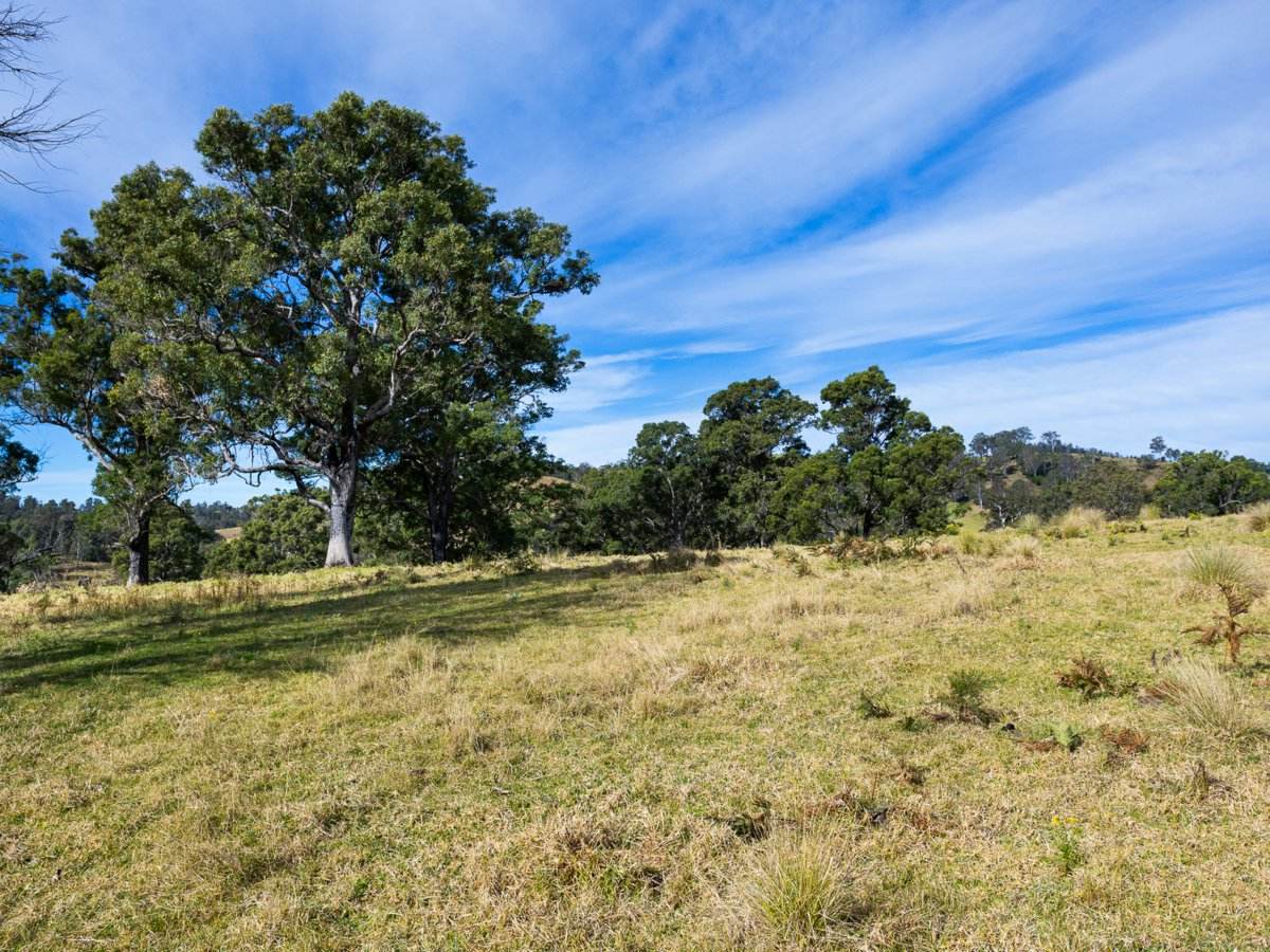 Lot 63 Watts Road, Cobargo For Sale by Farmbuy.com - image 5