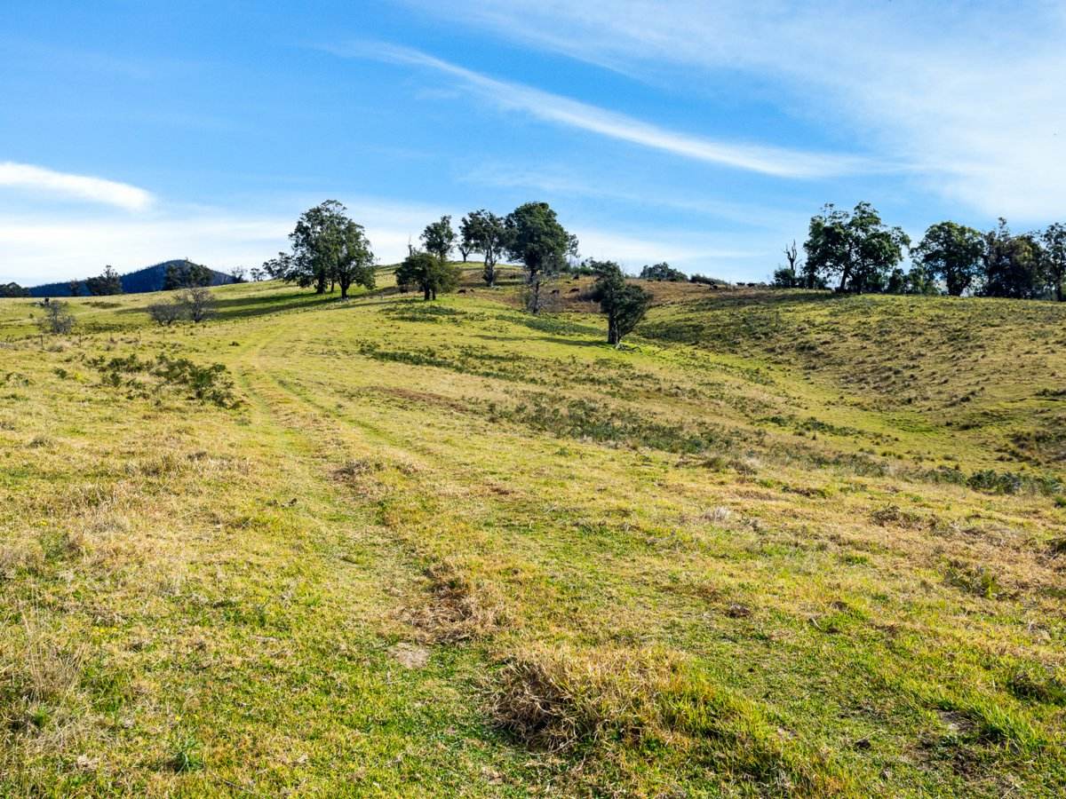 Lot 63 Watts Road, Cobargo For Sale by Farmbuy.com - image 4