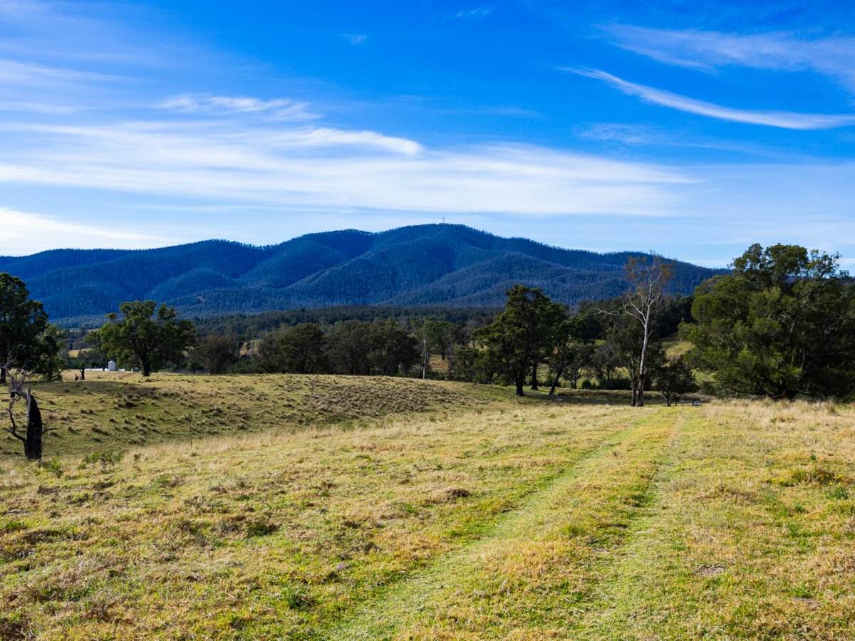 Lot 63 Watts Road, Cobargo For Sale by Farmbuy.com - image 3