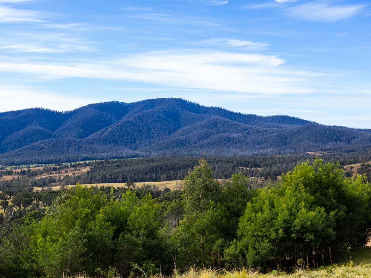 Lot 63 Watts Road, Cobargo For Sale by Farmbuy.com - image 18