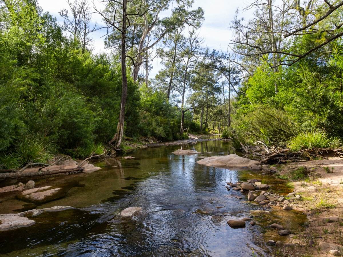 Lot 63 Watts Road, Cobargo For Sale by Farmbuy.com - image 6