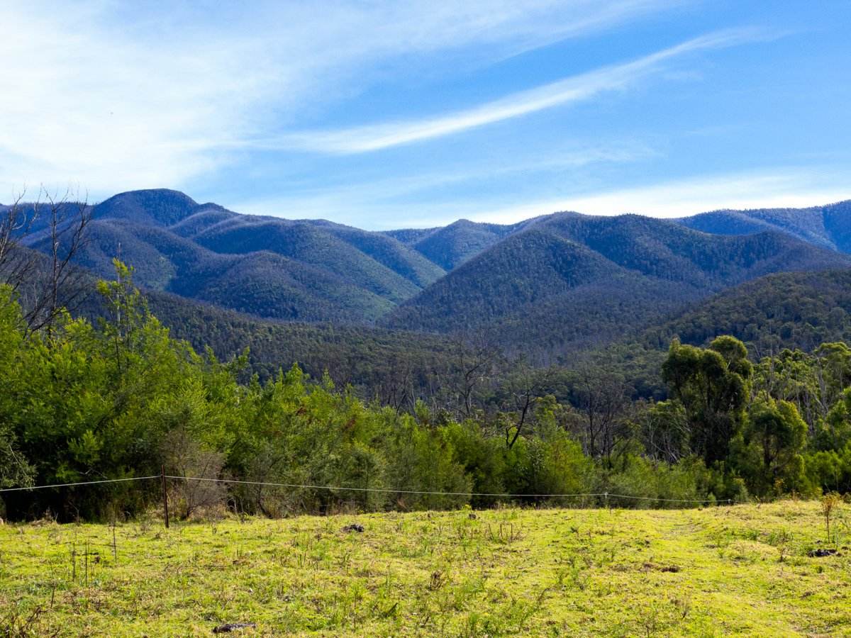Lot 63 Watts Road, Cobargo For Sale by Farmbuy.com - image 15