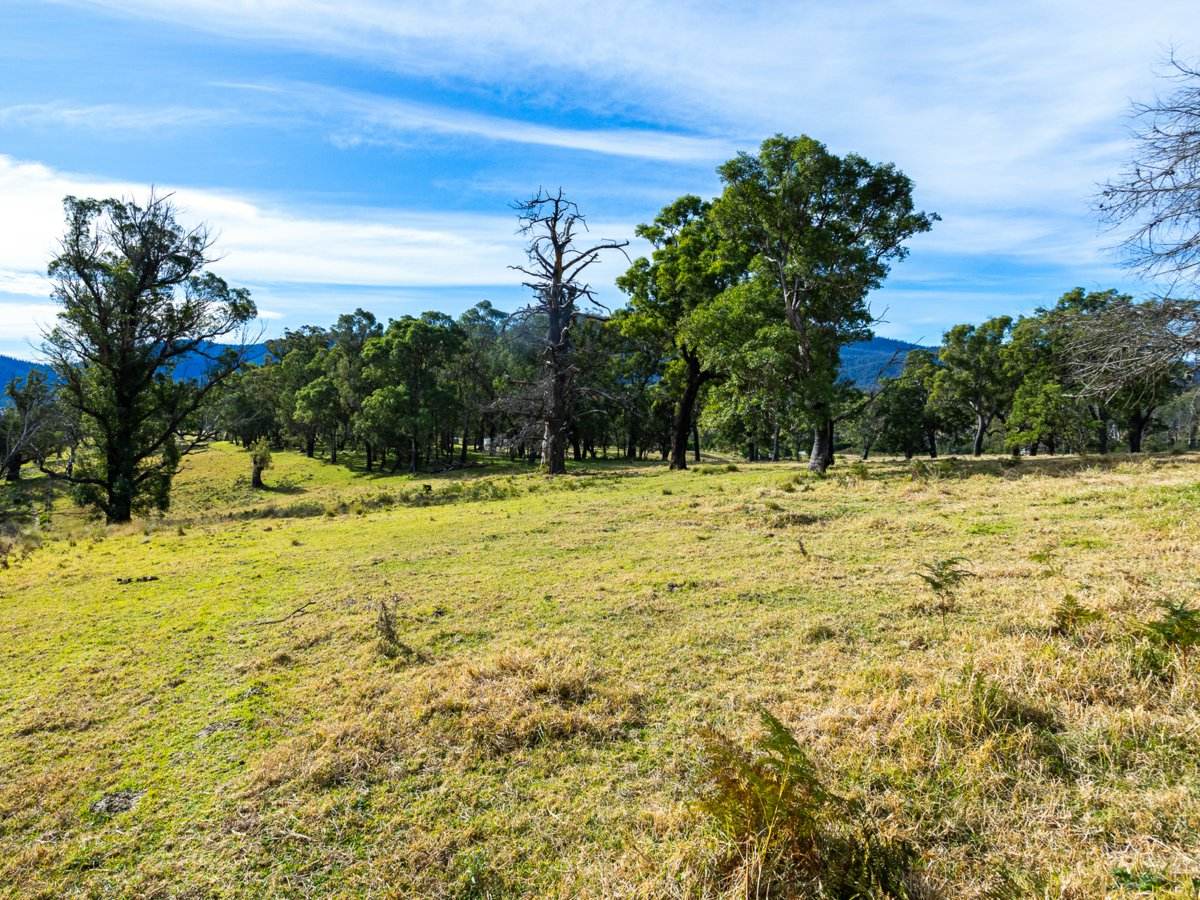 Lot 63 Watts Road, Cobargo For Sale by Farmbuy.com - image 19