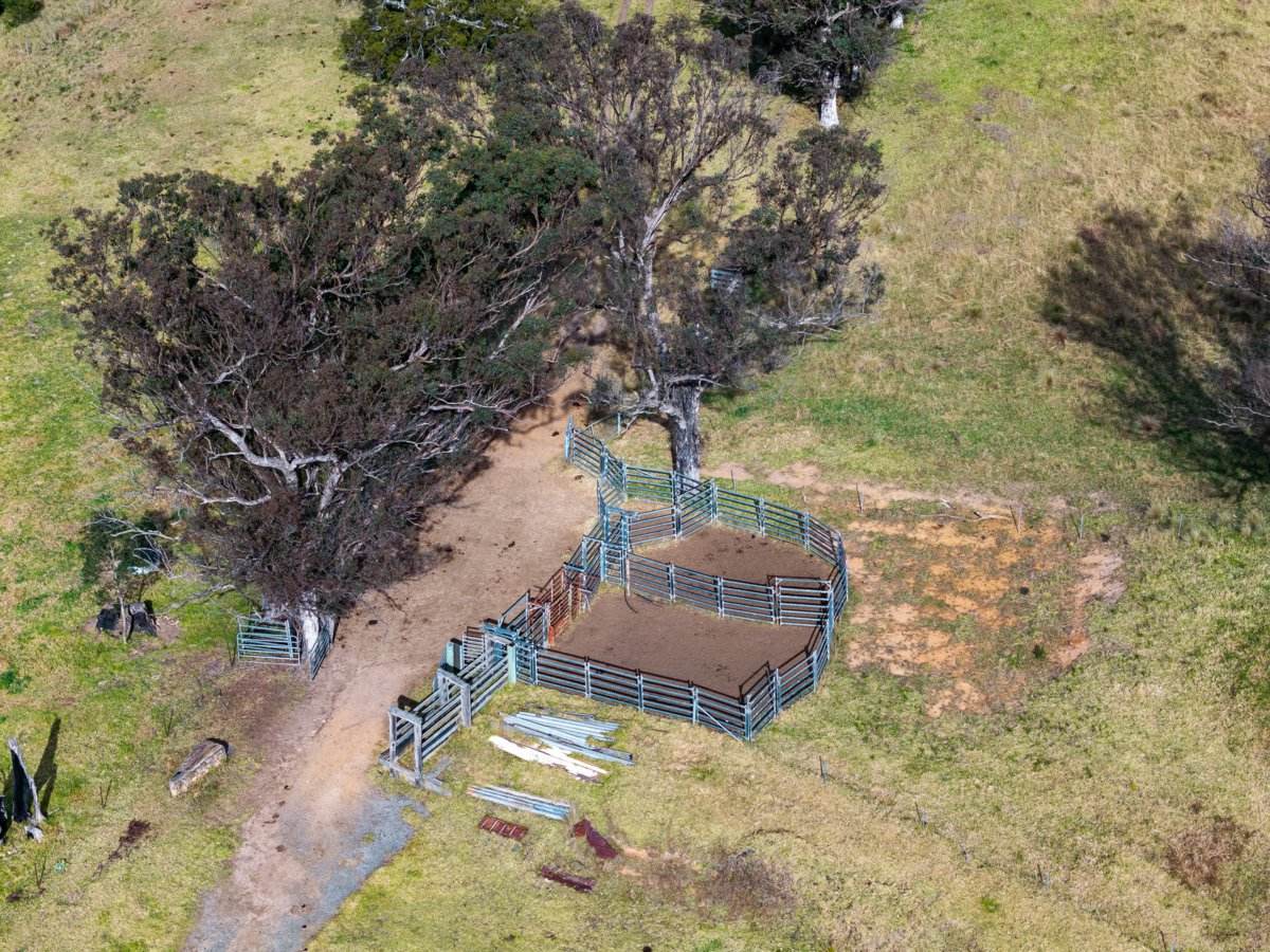 Lot 63 Watts Road, Cobargo For Sale by Farmbuy.com - image 11