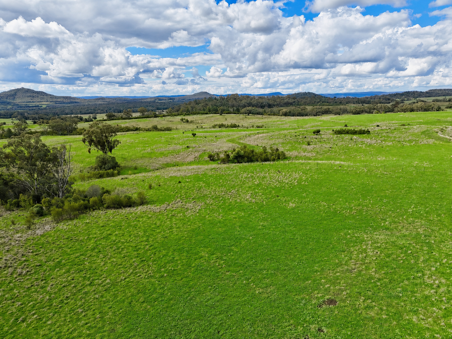 THE GLEN/308 Allambie Road, Edgeroi For Sale by Farmbuy.com - image 8