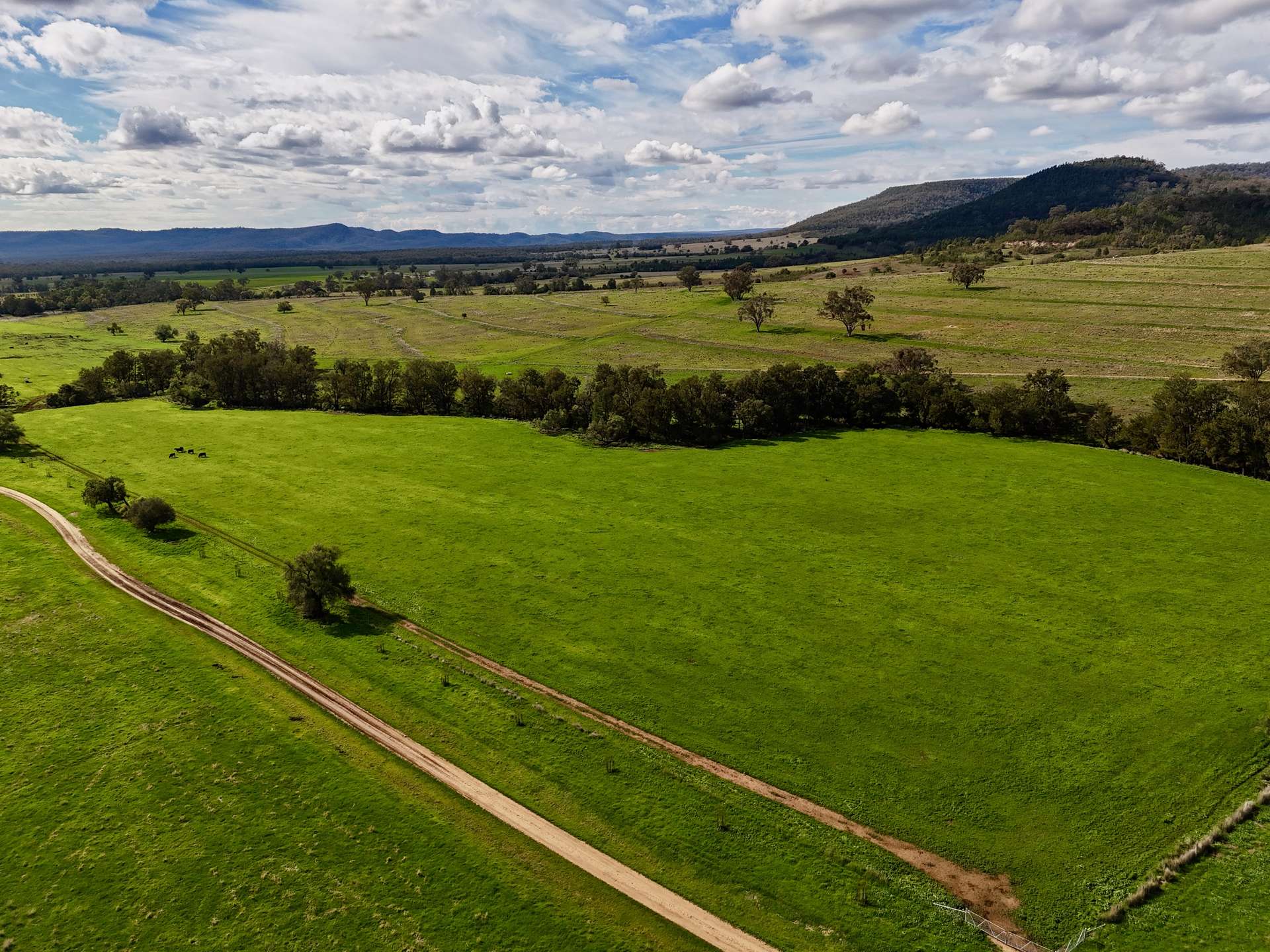 THE GLEN/308 Allambie Road, Edgeroi For Sale by Farmbuy.com - image 30