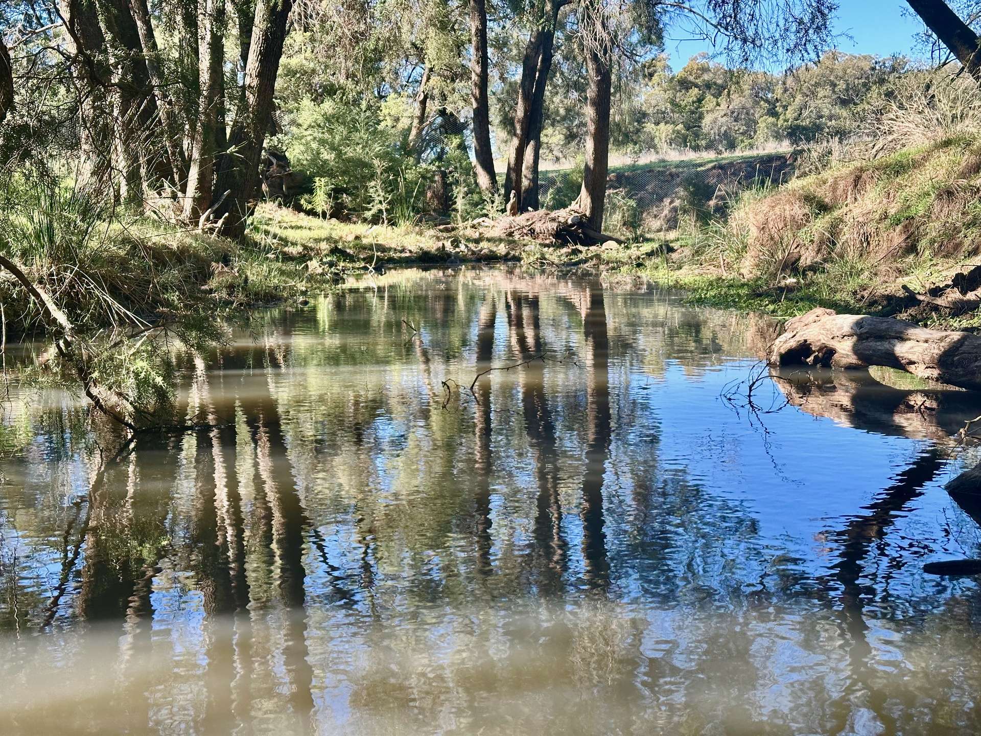 THE GLEN/308 Allambie Road, Edgeroi For Sale by Farmbuy.com - image 32