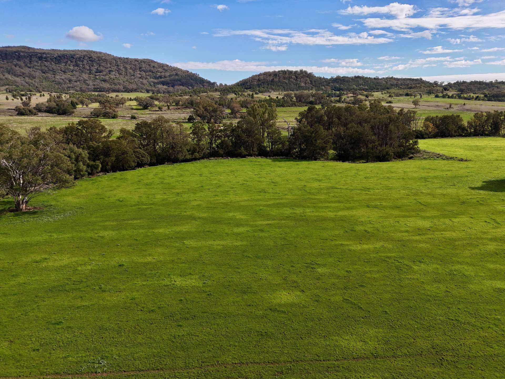 THE GLEN/308 Allambie Road, Edgeroi For Sale by Farmbuy.com - image 24