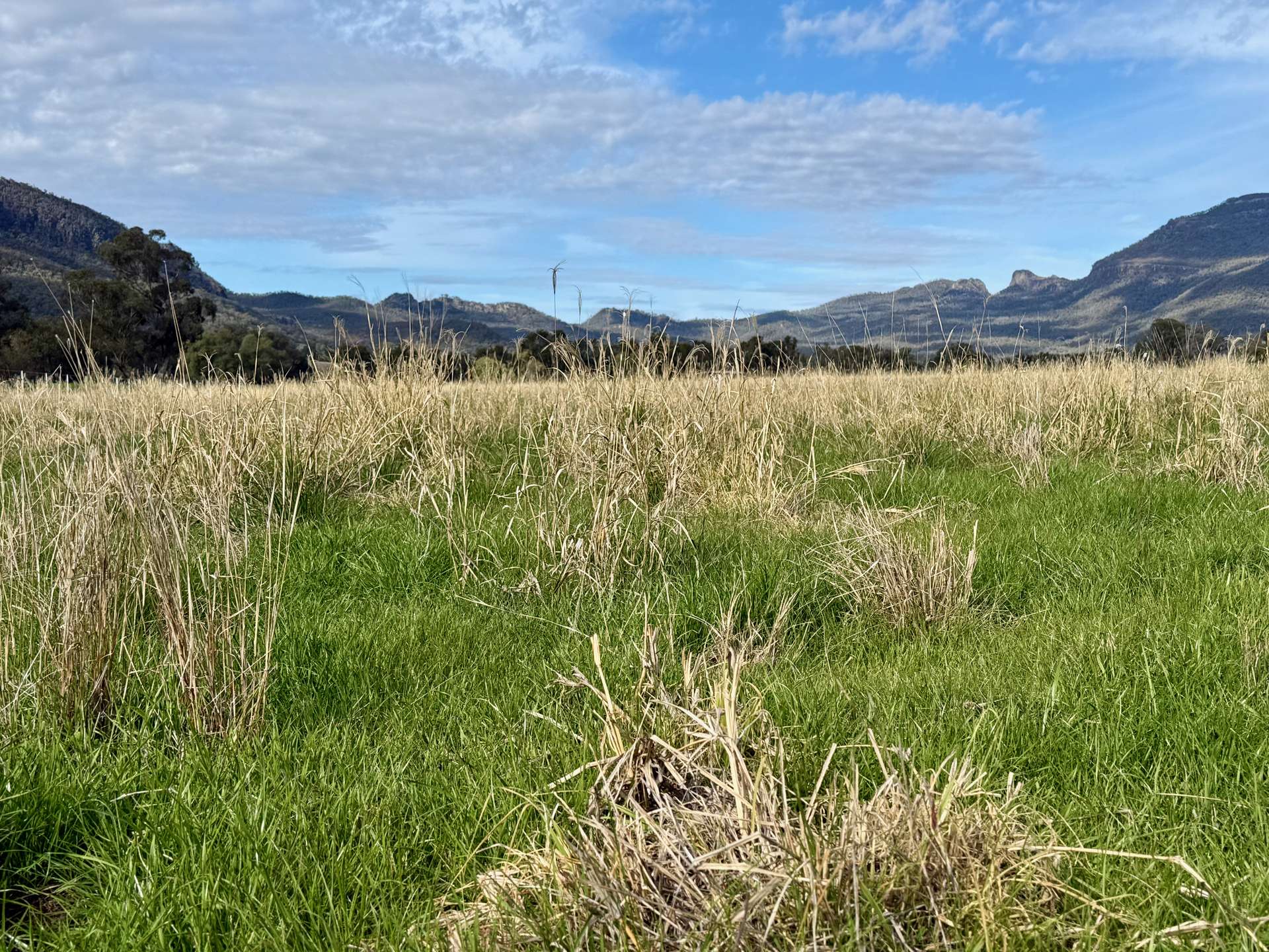 THE GLEN/308 Allambie Road, Edgeroi For Sale by Farmbuy.com - image 18