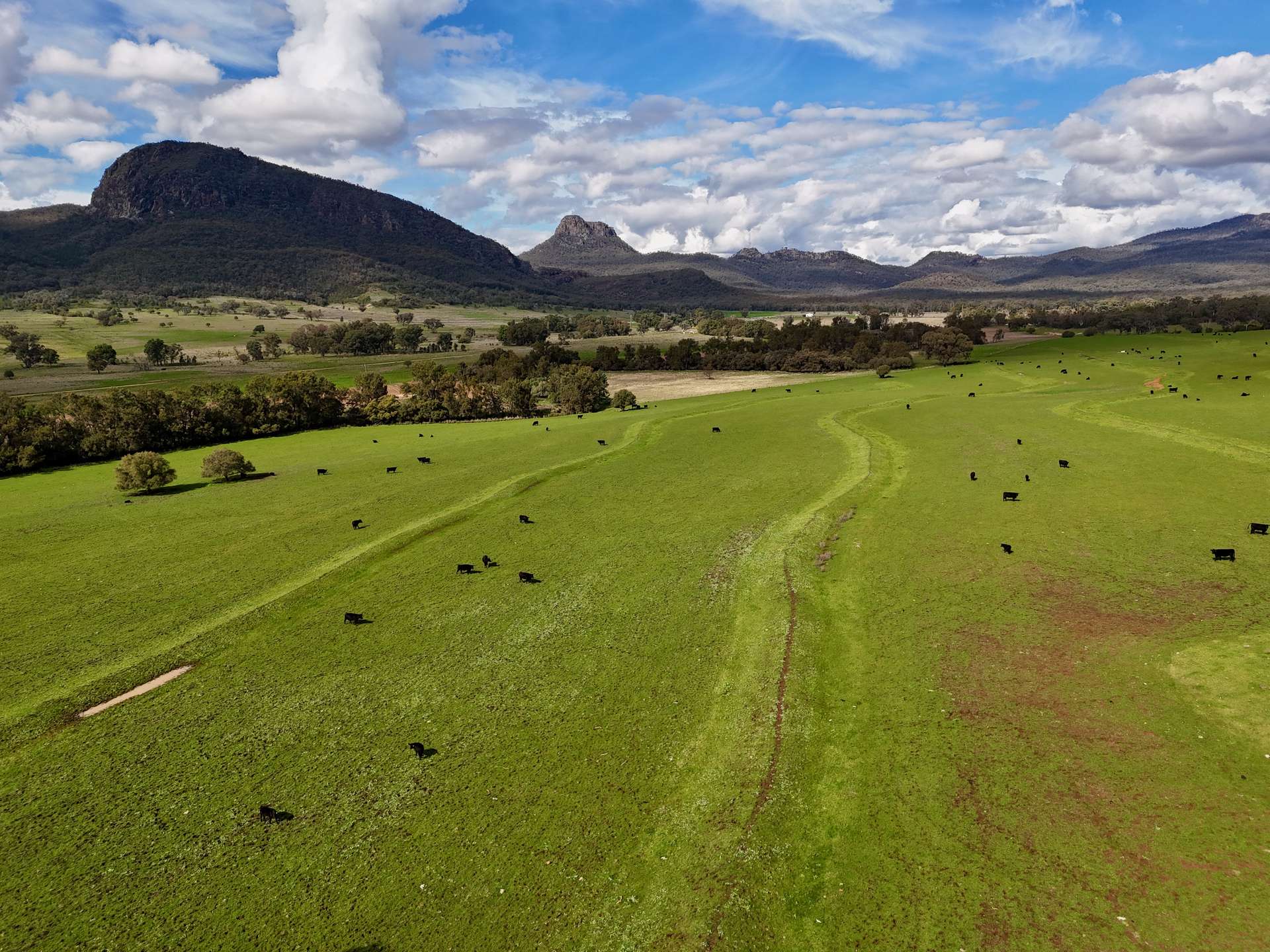 THE GLEN/308 Allambie Road, Edgeroi For Sale by Farmbuy.com - image 26