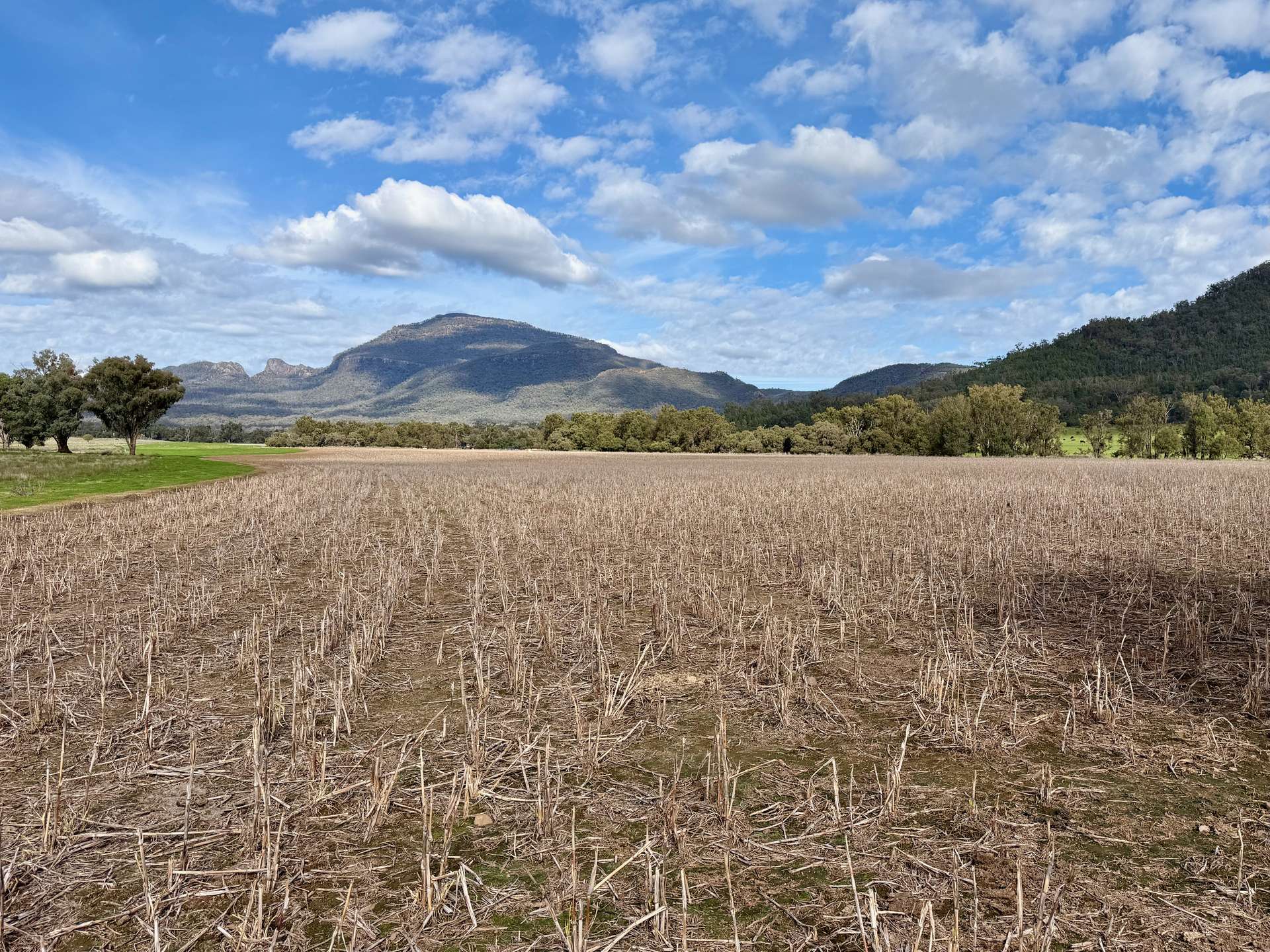 THE GLEN/308 Allambie Road, Edgeroi For Sale by Farmbuy.com - image 20