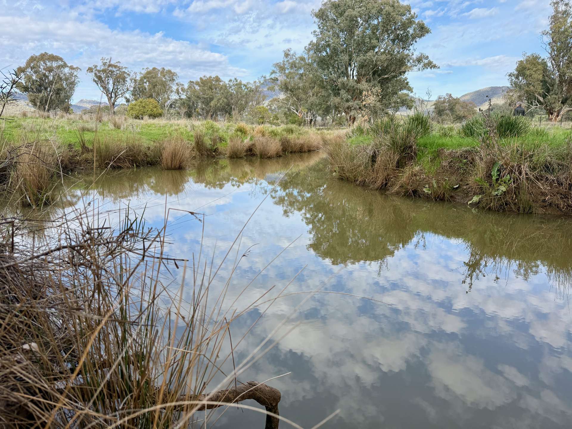 THE GLEN/308 Allambie Road, Edgeroi For Sale by Farmbuy.com - image 19
