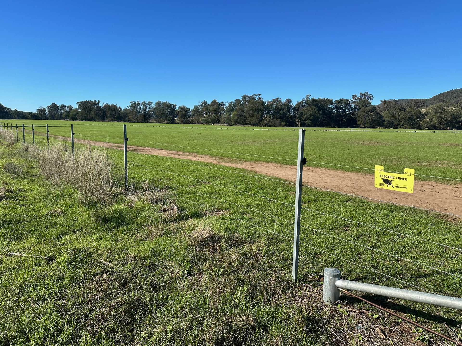 THE GLEN/308 Allambie Road, Edgeroi For Sale by Farmbuy.com - image 14