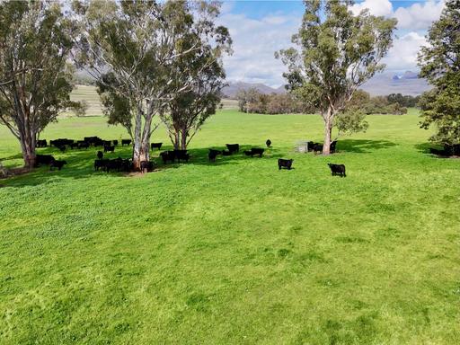 Farm For Sale - NSW - Edgeroi - 2390 - The Glen, Berrigal via Edgeroi NSW 