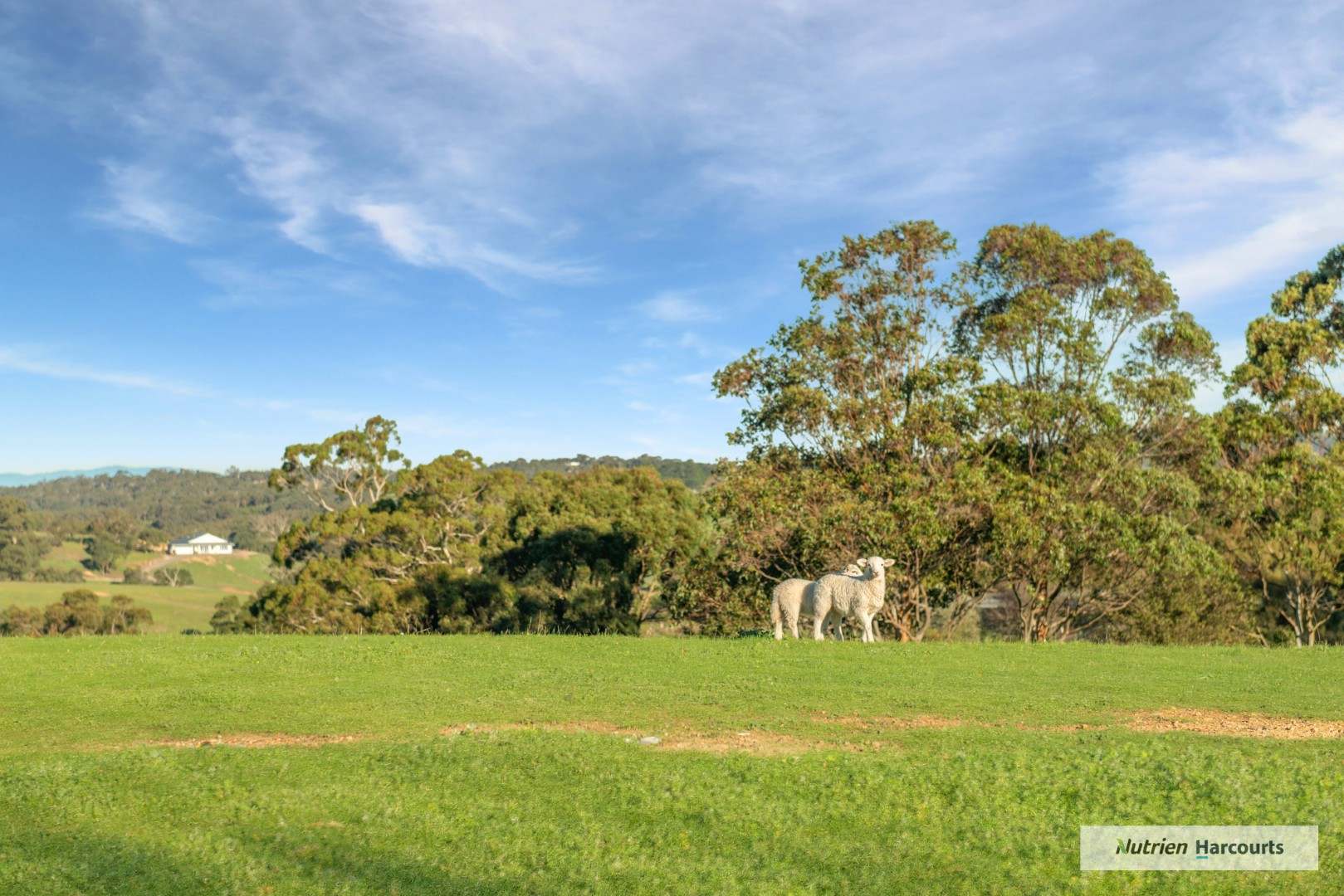 35 Hadfield Road West, Upper Plenty For Sale by Farmbuy.com - image 23