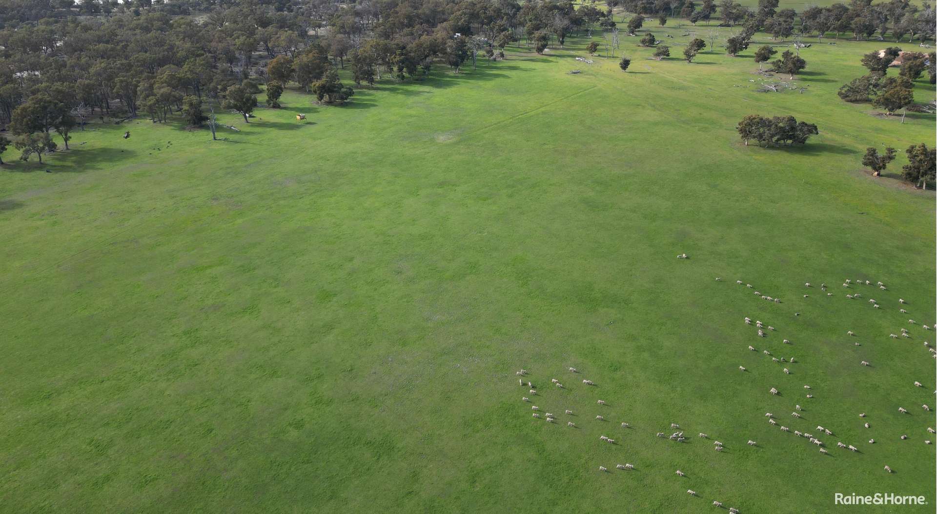 Lot 5 Sandalwood Road, Darkan For Sale by Farmbuy.com - image 7