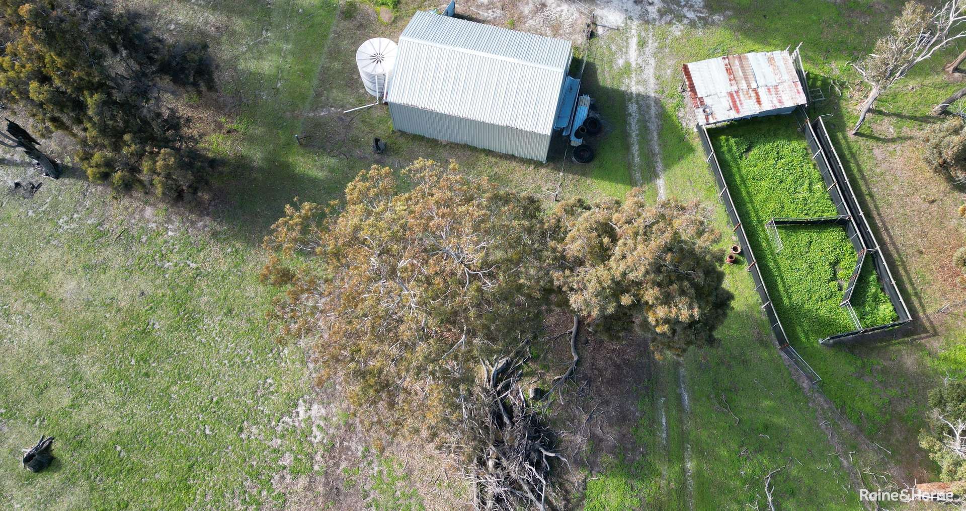 Lot 5 Sandalwood Road, Darkan For Sale by Farmbuy.com - image 5