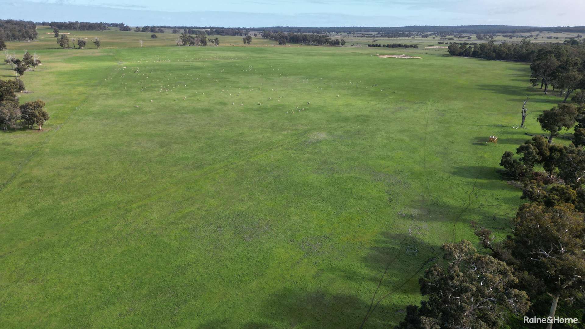 Lot 5 Sandalwood Road, Darkan For Sale by Farmbuy.com - image 6