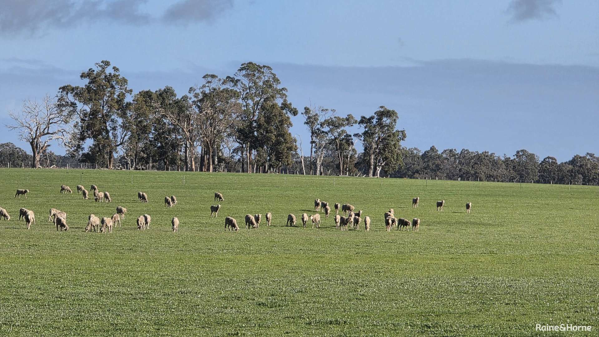 Lot 5 Sandalwood Road, Darkan For Sale by Farmbuy.com - image 3