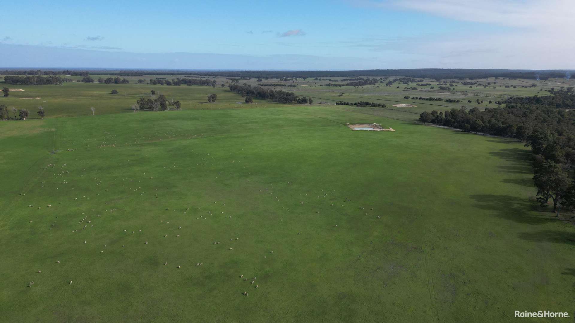 Lot 5 Sandalwood Road, Darkan For Sale by Farmbuy.com - image 1