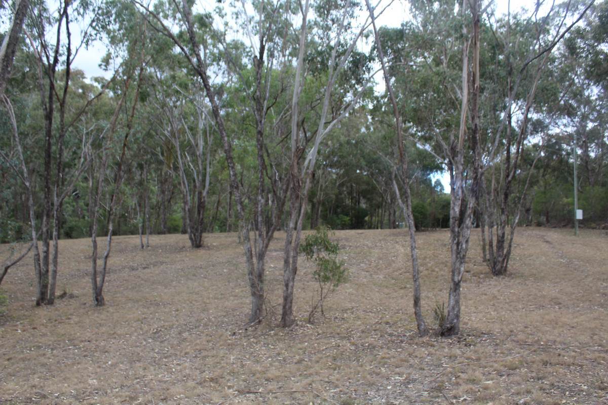635 Charleys Gully Road, Freestone For Sale by Farmbuy.com - image 14