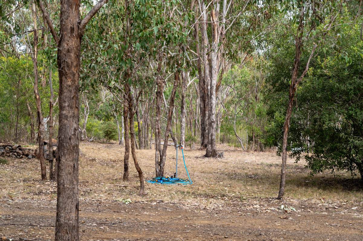635 Charleys Gully Road, Freestone For Sale by Farmbuy.com - image 8