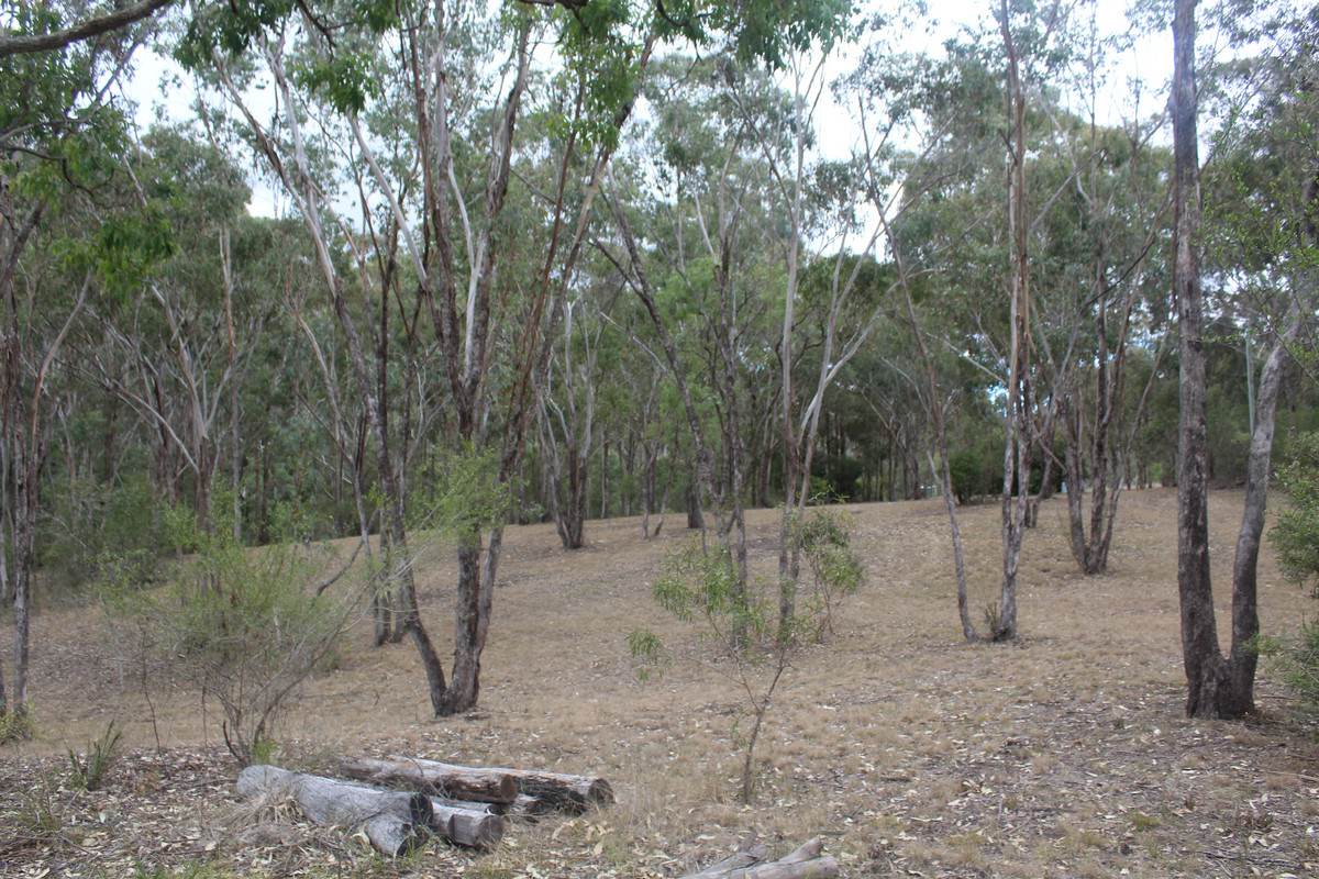 635 Charleys Gully Road, Freestone For Sale by Farmbuy.com - image 5