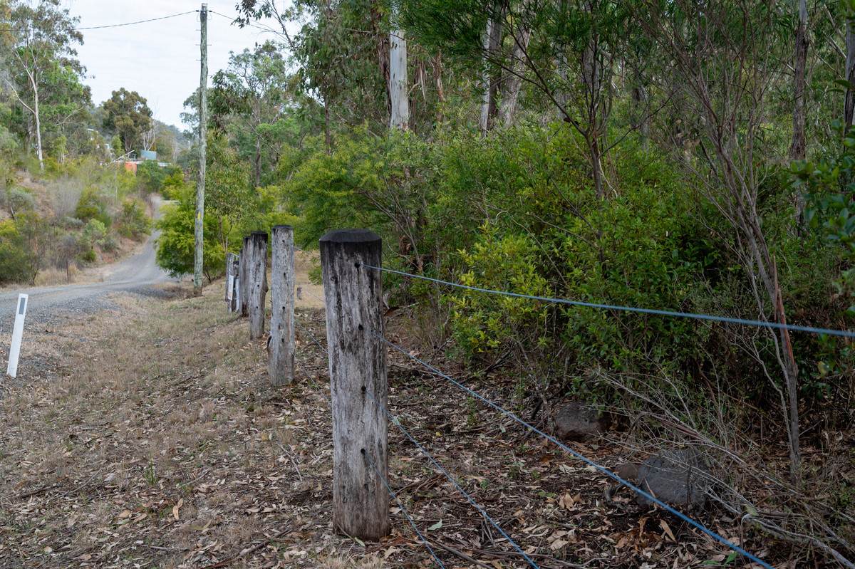635 Charleys Gully Road, Freestone For Sale by Farmbuy.com - image 7