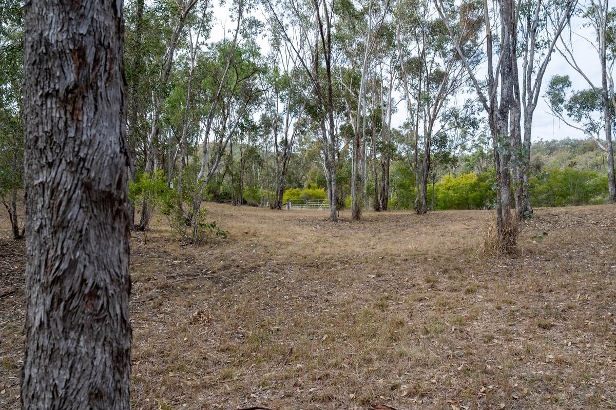 635 Charleys Gully Road, Freestone For Sale by Farmbuy.com - image 3
