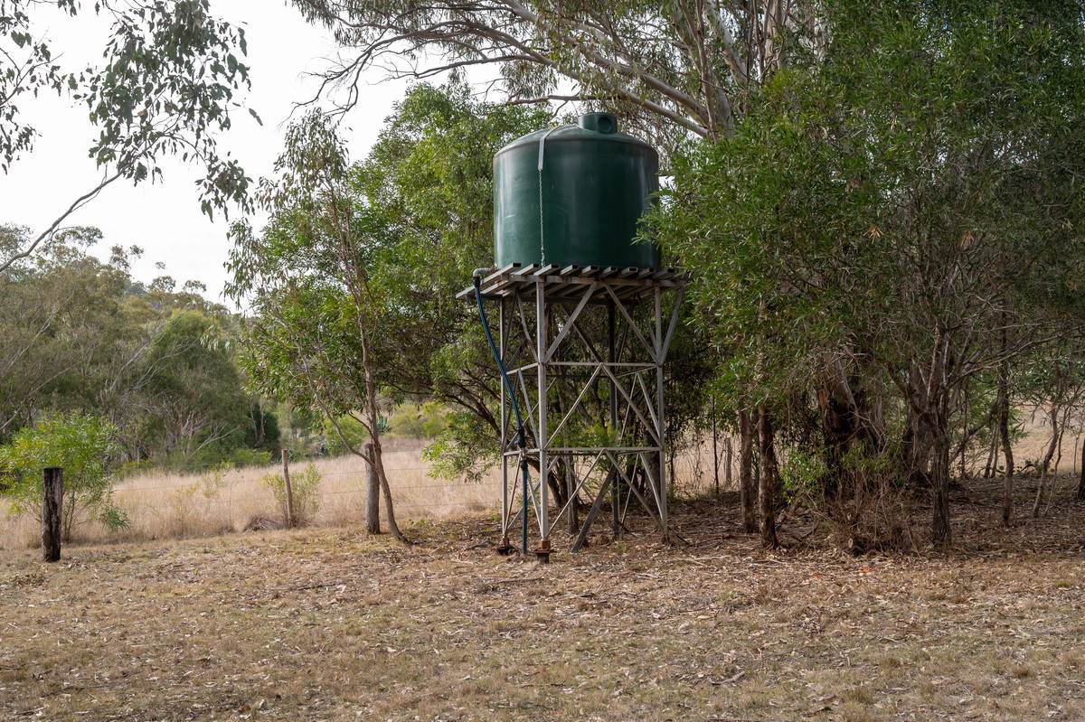 635 Charleys Gully Road, Freestone For Sale by Farmbuy.com - image 9