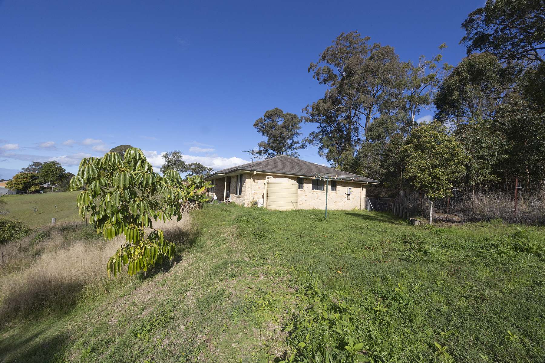 46 Alpine Drive, Tinonee For Sale by Farmbuy.com - image 12