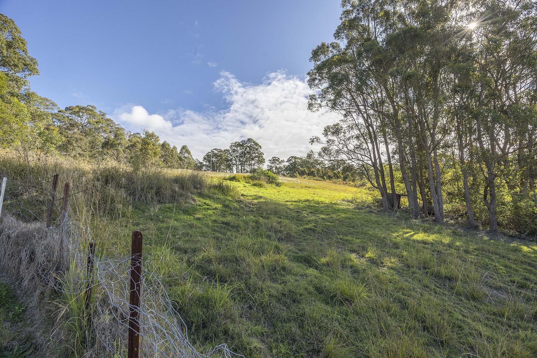 46 Alpine Drive, Tinonee For Sale by Farmbuy.com - image 13
