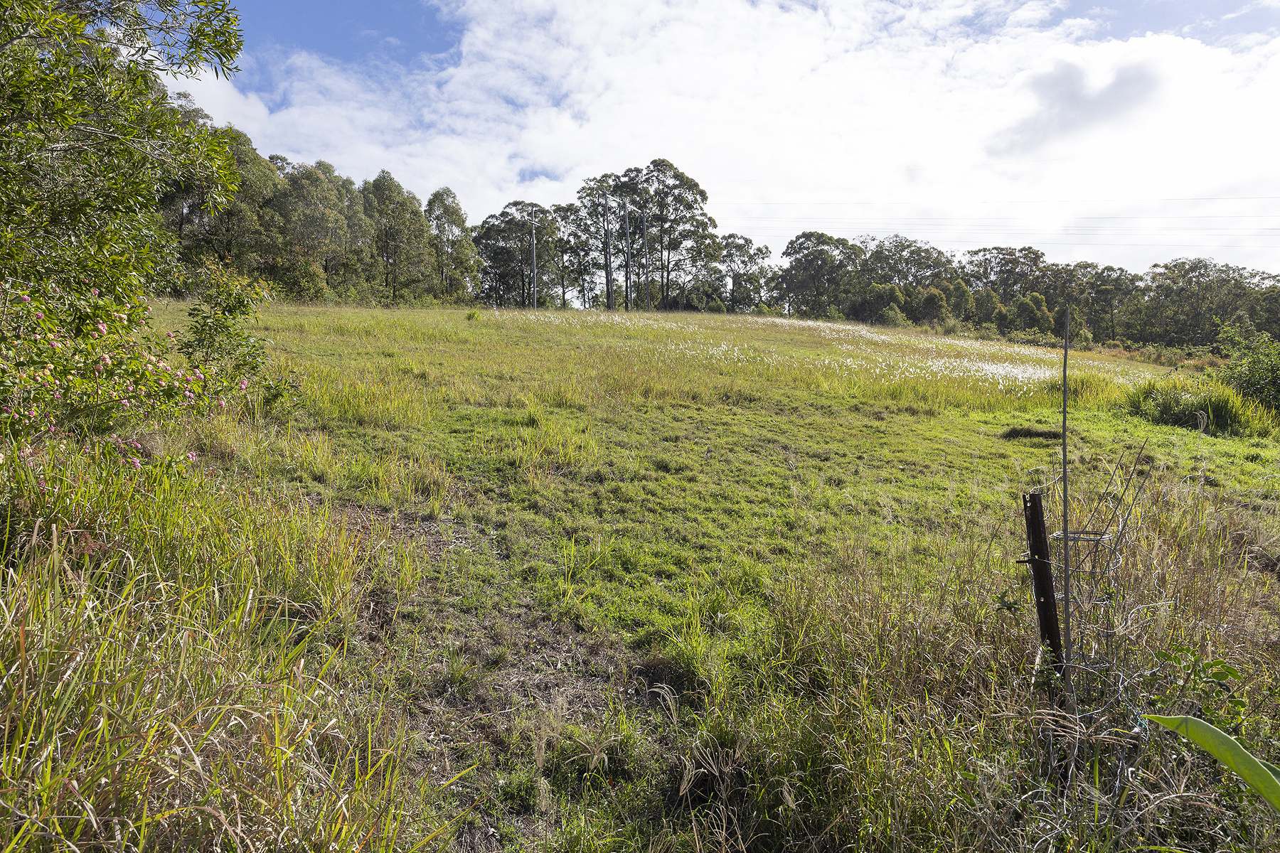 46 Alpine Drive, Tinonee For Sale by Farmbuy.com - image 14