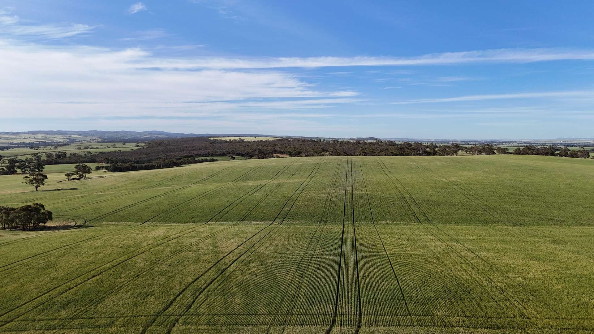 'The Gap' Wilkins Highway, Huddleston For Sale by Farmbuy.com - image 13