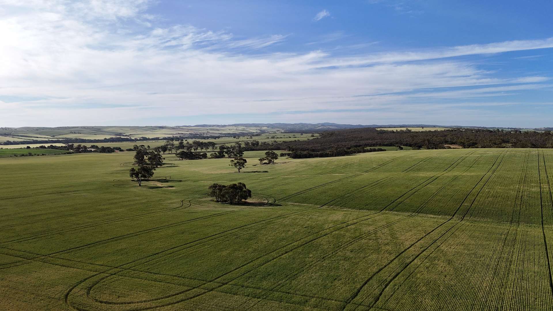 'The Gap' Wilkins Highway, Huddleston For Sale by Farmbuy.com - image 10