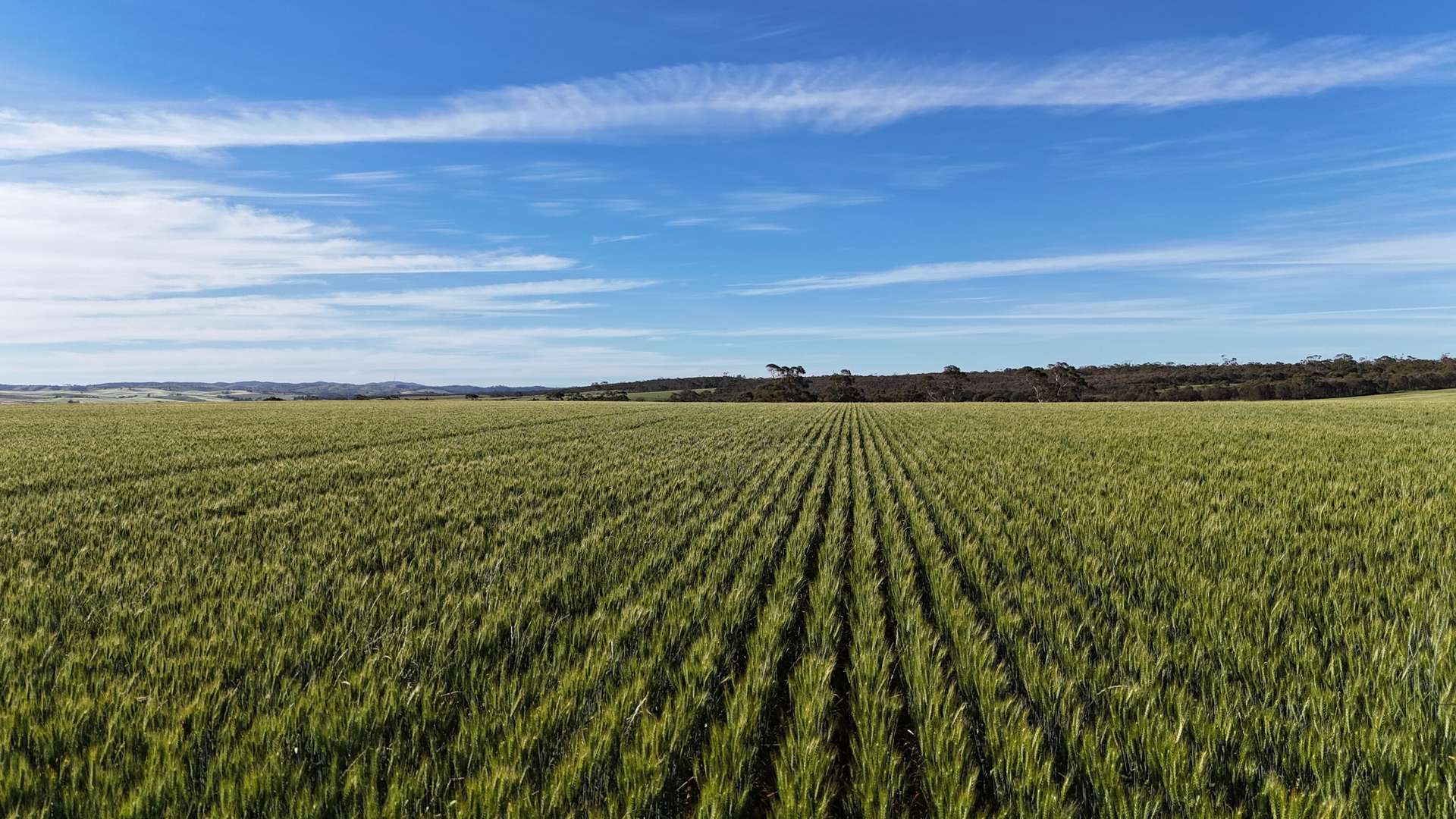 'The Gap' Wilkins Highway, Huddleston For Sale by Farmbuy.com - image 1