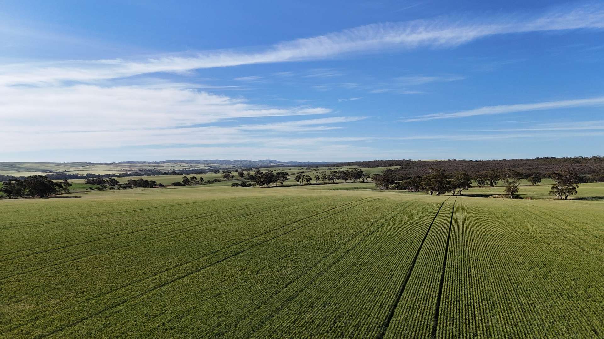 'The Gap' Wilkins Highway, Huddleston For Sale by Farmbuy.com - image 12