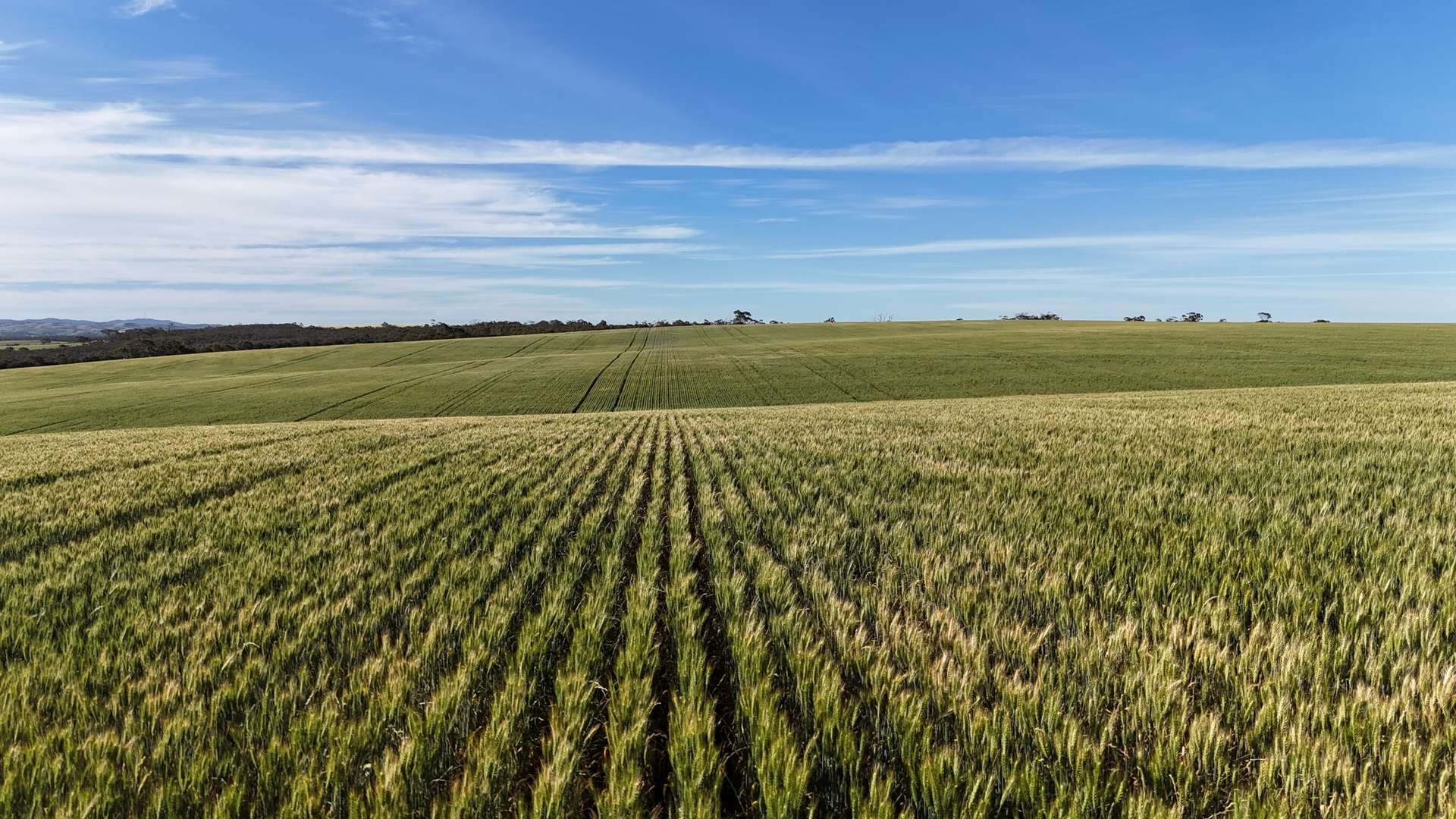 'The Gap' Wilkins Highway, Huddleston For Sale by Farmbuy.com - image 8
