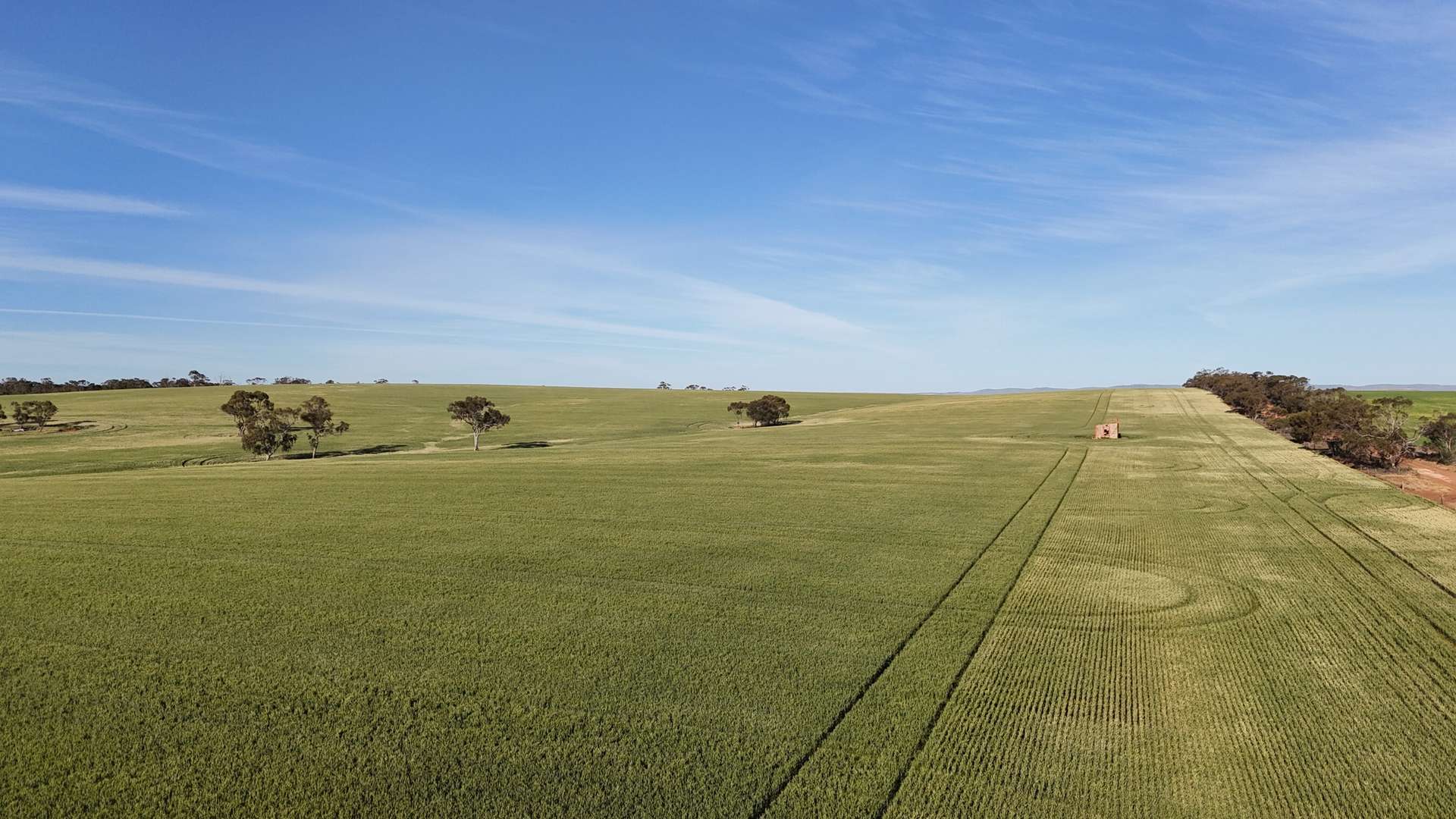 'The Gap' Wilkins Highway, Huddleston For Sale by Farmbuy.com - image 15