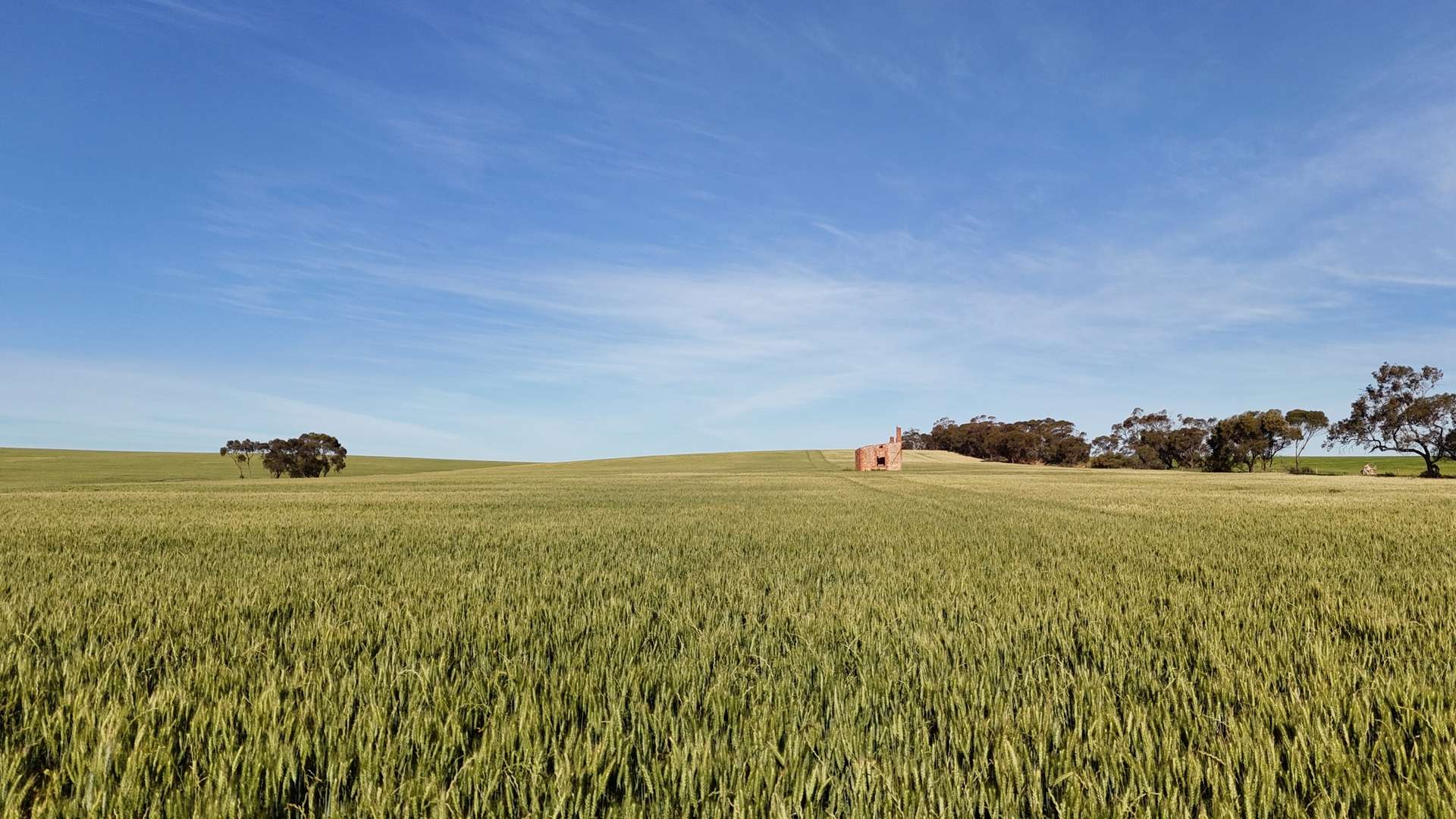 'The Gap' Wilkins Highway, Huddleston For Sale by Farmbuy.com - image 6